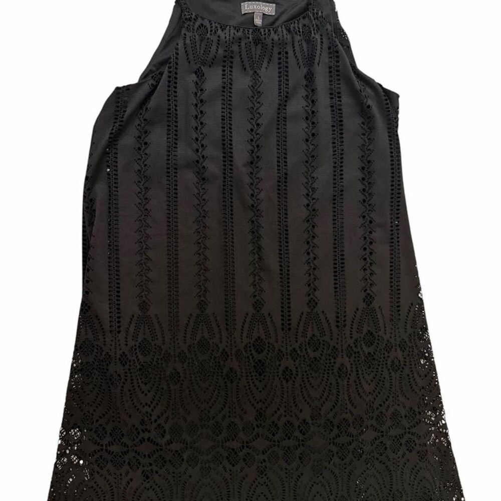 Luxology black lace mini dress with vertical lace embroidery and floral motifs